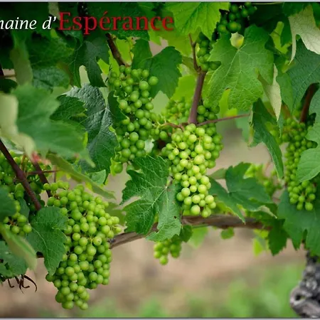 Дом отдыха Lascannes