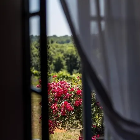 Lascannes * Mauvezin-d'Armagnac