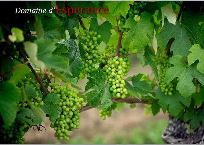 Дом отдыха Lascannes